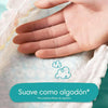 Pampers Cruisers 360 Pull-On Diaper